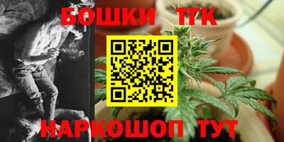дмт Обь