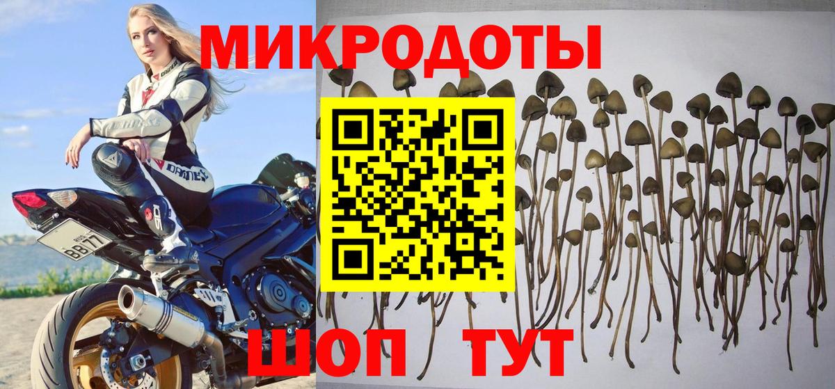 Галлюциногенные грибы MAGIC MUSHROOMS  Вход с VPN  Урюпинск 